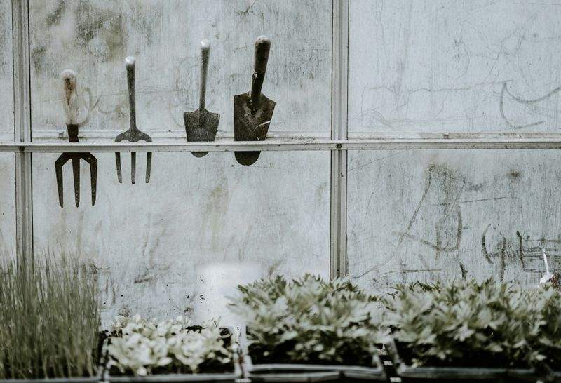 春の庭を心地よく整えるための植栽ポイント