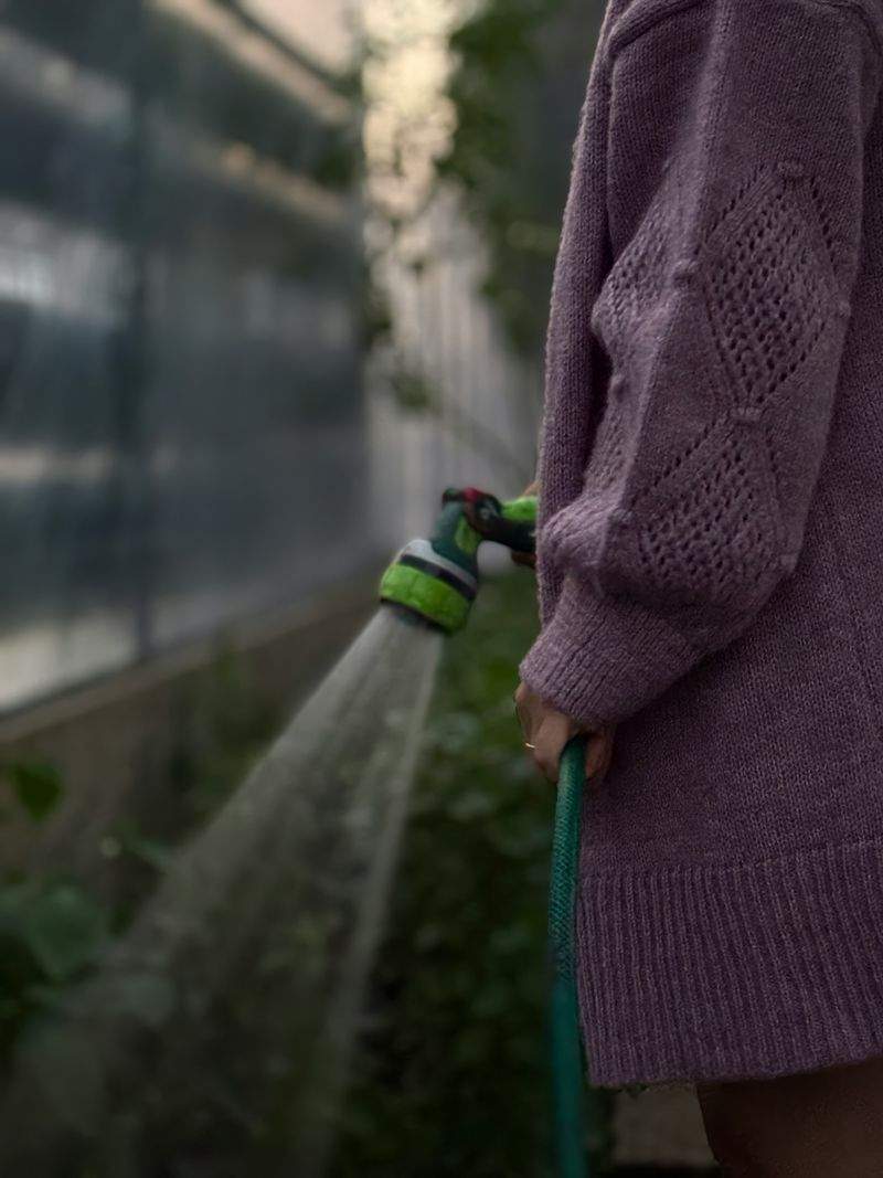 季節ごとの植え替え