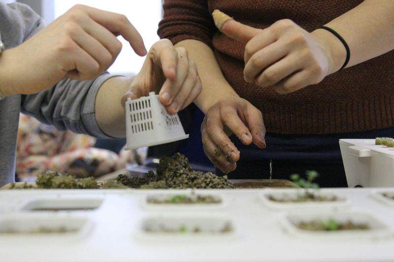 害虫対策・病害管理